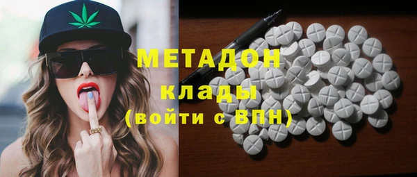 прущие грибы Арсеньев