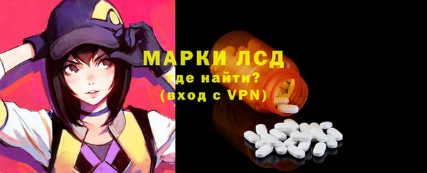 СК Аркадак