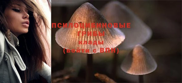 СК Аркадак