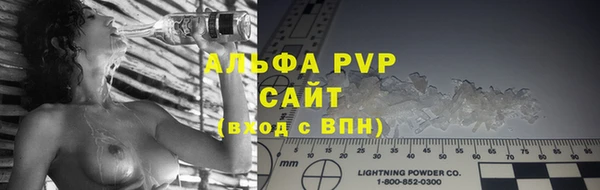 прущие грибы Арсеньев