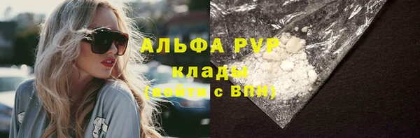 СК Аркадак