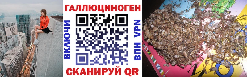 Галлюциногенные грибы ЛСД  Ипатово 