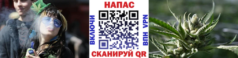 Конопля сатива  где продают   Ипатово 